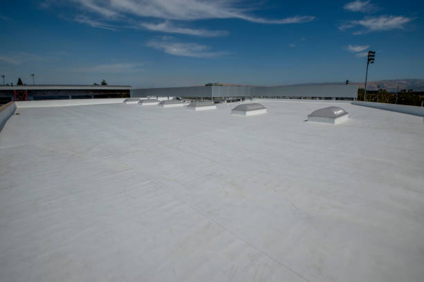Best Asphalt Shingle Roofing  in Stewart Manor, NY