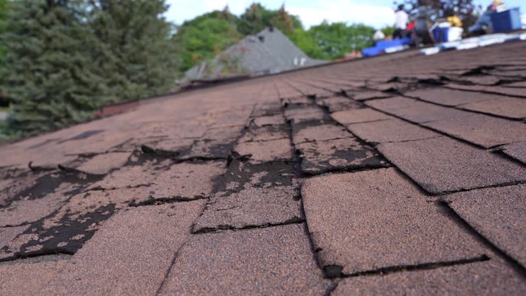 Best Hot Roofs  in Stewart Manor, NY