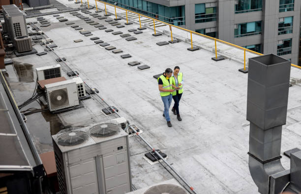 Best Roof Maintenance and Cleaning  in Stewart Manor, NY